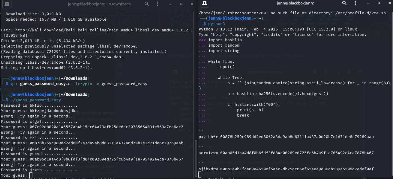manual proof of null-byte collision in terminal